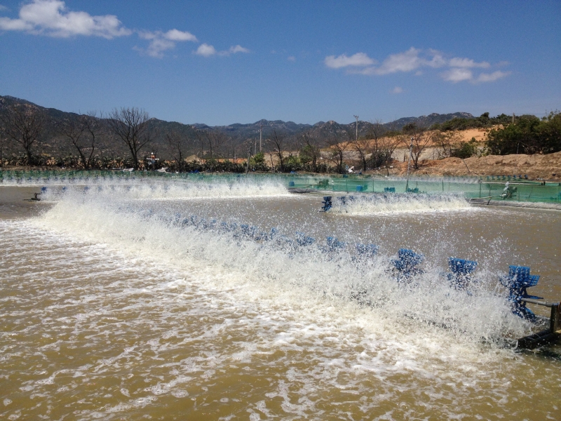 Fish farming